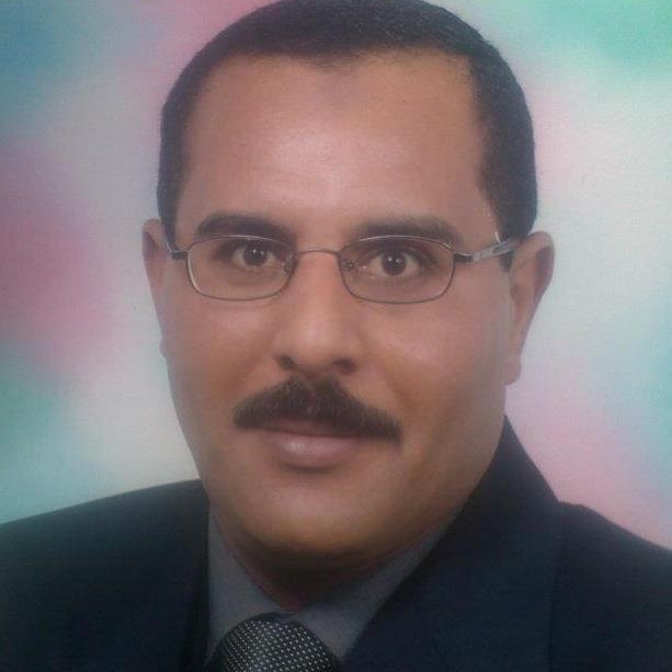 المستشار عربى عبدالحميد يستنكر قرار البرلمان الأوروبي ويؤكد تدخلا واضحا فى الشأن الداخلي لمصر