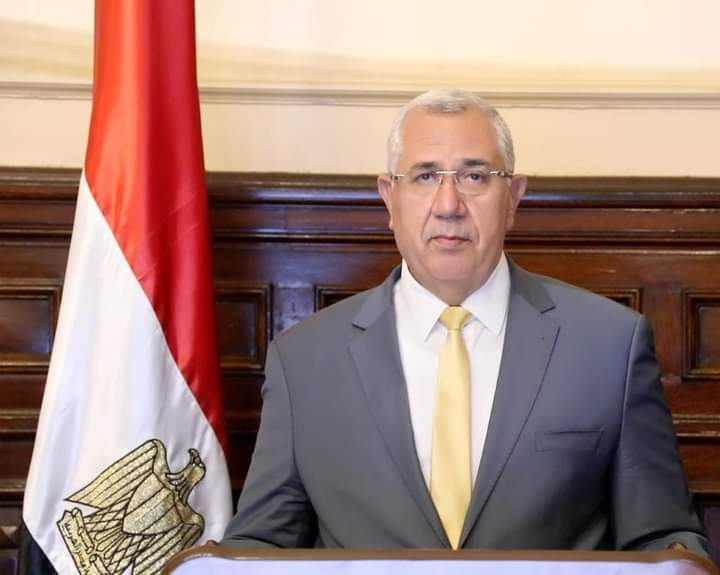 الزراعة: صادرات مصر الزراعية تتجاوز 3 مليون طن هذا العام