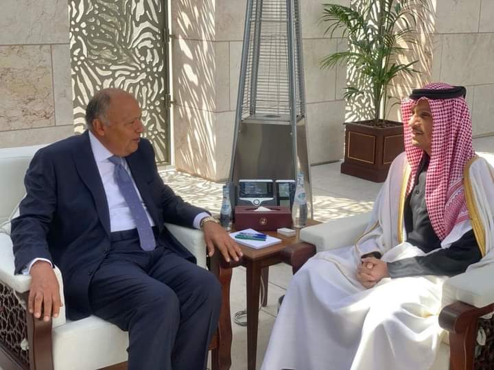 قبيل بدء أعمال الدورة الخامسة للجنة العليا المصرية - القطرية المشتركة في الدوحة: وزير الخارجية سامح شكري يعقد اجتماعاً ثنائياً مع أخيه رئيس مجلس الوزراء وزير خارجية دولة قطر